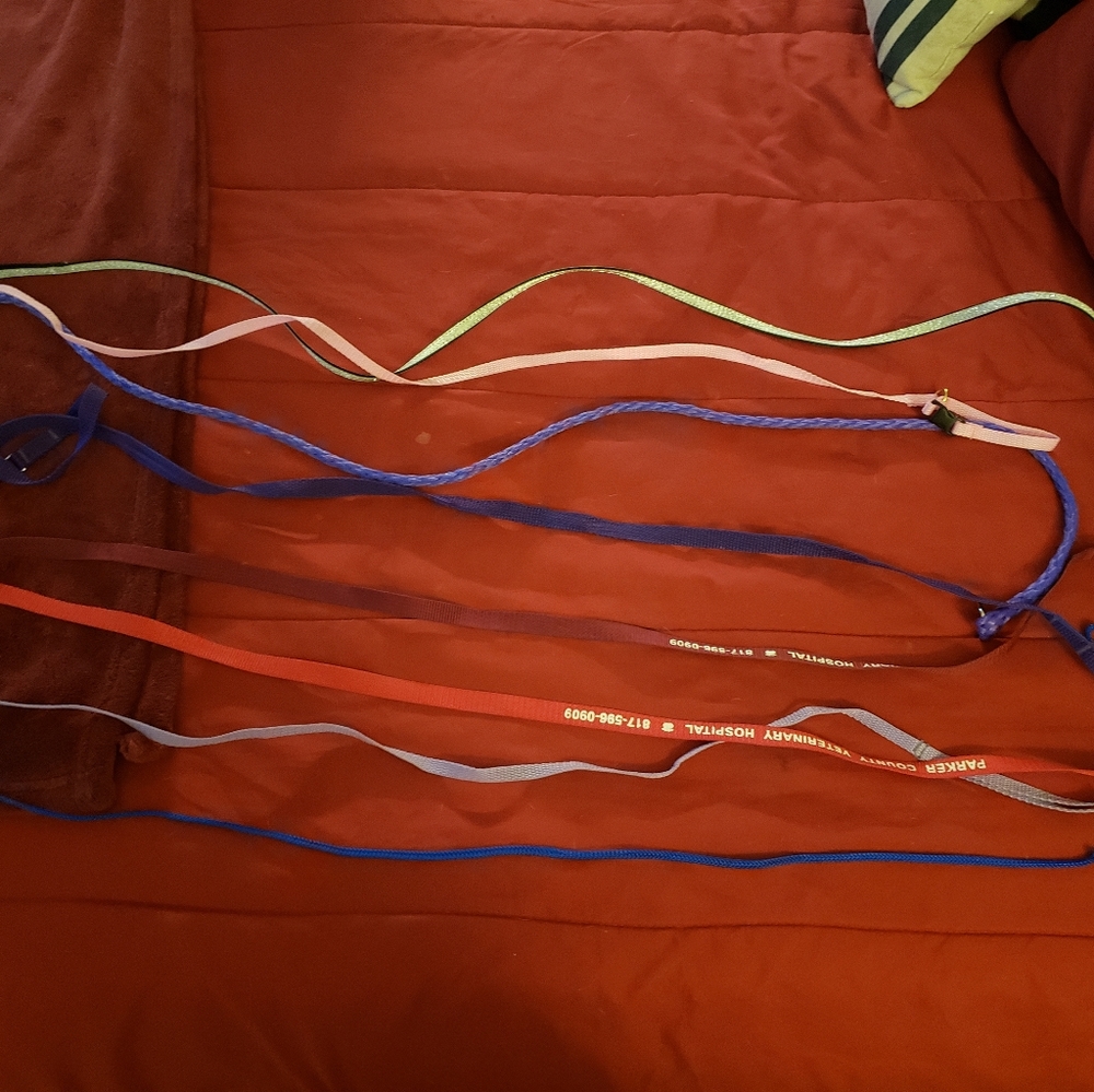 8 small dog leashes, ranging from 4 to 5 feet. All are like new
